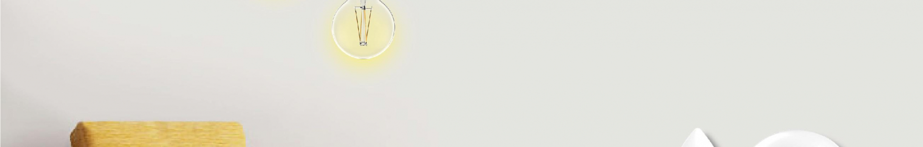 visita_toshiba_lighting